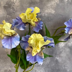 May include: Close-up of artificial iris flowers with yellow and purple petals. The flowers have a ruffled texture and are arranged on green stems with green leaves. The background is a textured gray surface.
