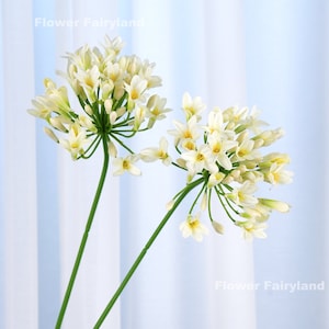 29” Faux Agapanthus Africanus Stem, Lily of the Nile Bloulelie - Artificial Flower - White