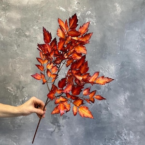 Rama de hoja de Cimicifuga falsa de 61 cm - Planta artificial - Naranja