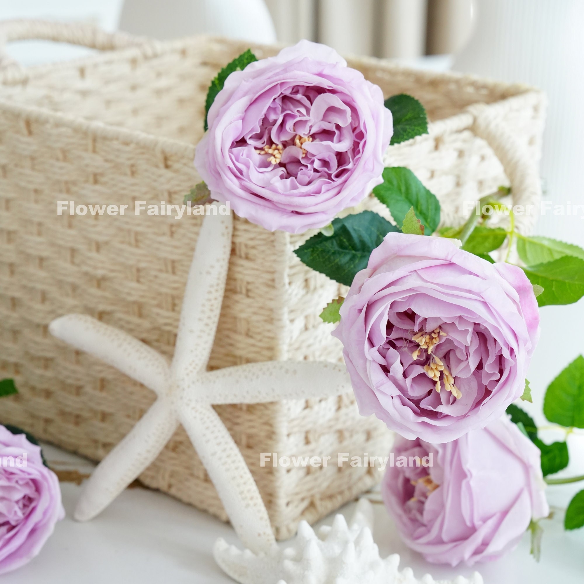 リアルタッチ イングリッシュ デビッド・オースティン ローズステム