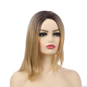 Ombre Color Straight Shoulder Length Wig Synthetic Fiber Wig for Daily Party Cosplay Use