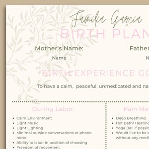 Geburtsplan Vorlage für Mama Neutral Ästhetik Krankenhaus Geburt Haus Geburtsplan Krankenhaus Tasche Checkliste Babyparty Geschenk für neue Mutter Geburtsvorbereitung
