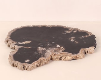 Petrified Wood Slice | Serving Tray | Serving Platter