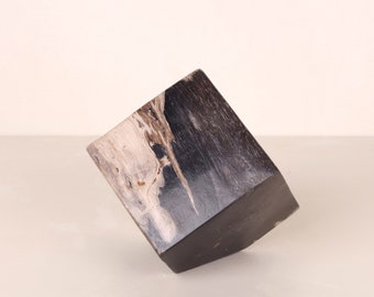 Petrified Wood Cube Object | Table Accessories
