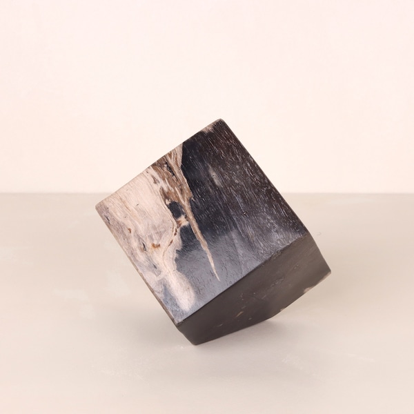 Petrified Wood Cube Object | Table Accessories