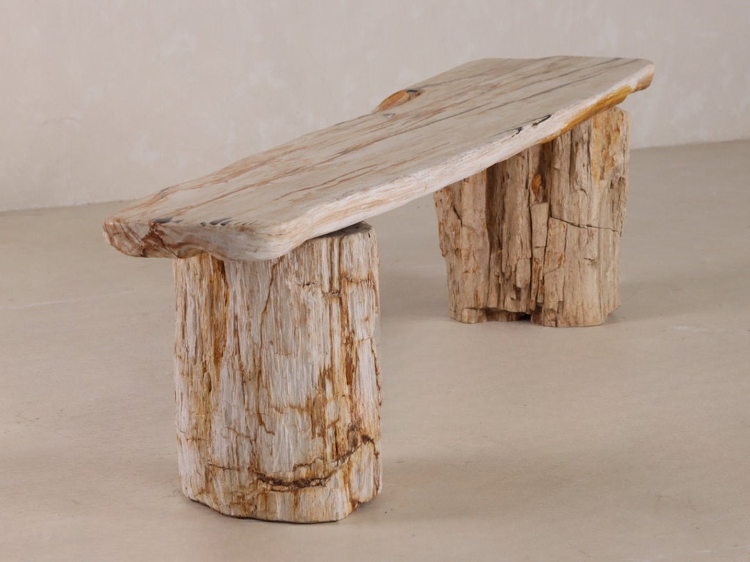 Petrified Wood Bench | One-of-a-kind - Etsy