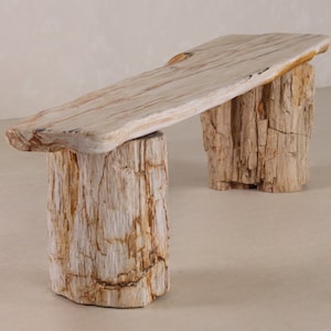May include: A long, white petrified wood bench with a natural, rough-hewn surface. The bench is supported by two thick, round petrified wood legs.