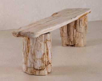 Petrified Wood Bench | One-of-a-kind
