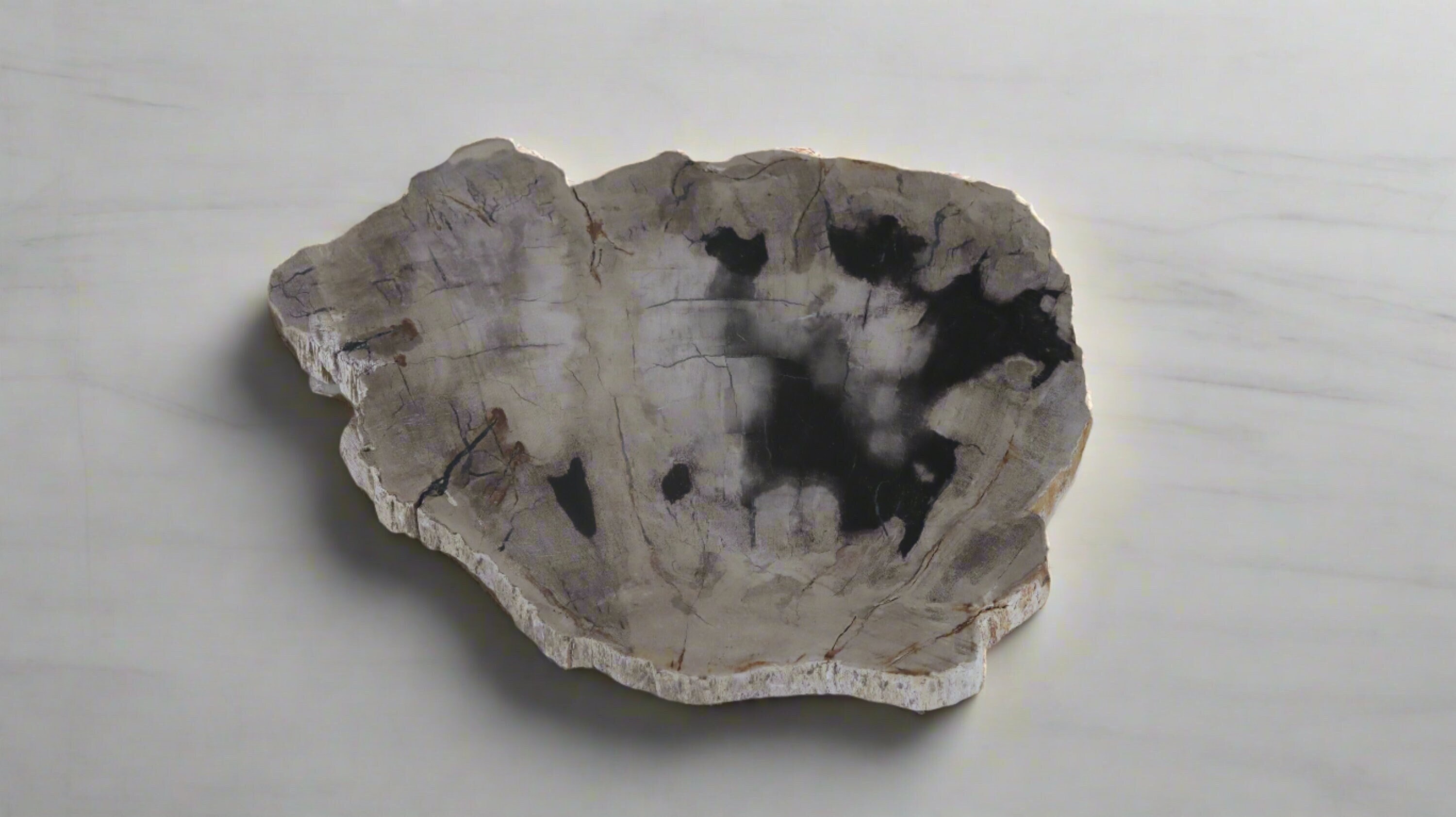 Petrified Wood Tray | West Elm