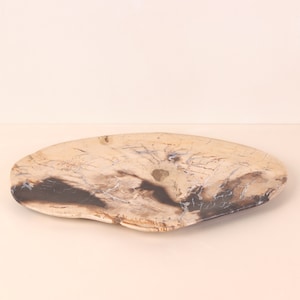 Petrified Wood Stone Serving Tray | Serving Platter