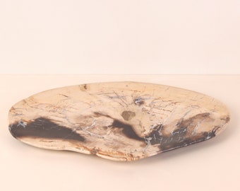 Petrified Wood Stone Serving Tray | Serving Platter