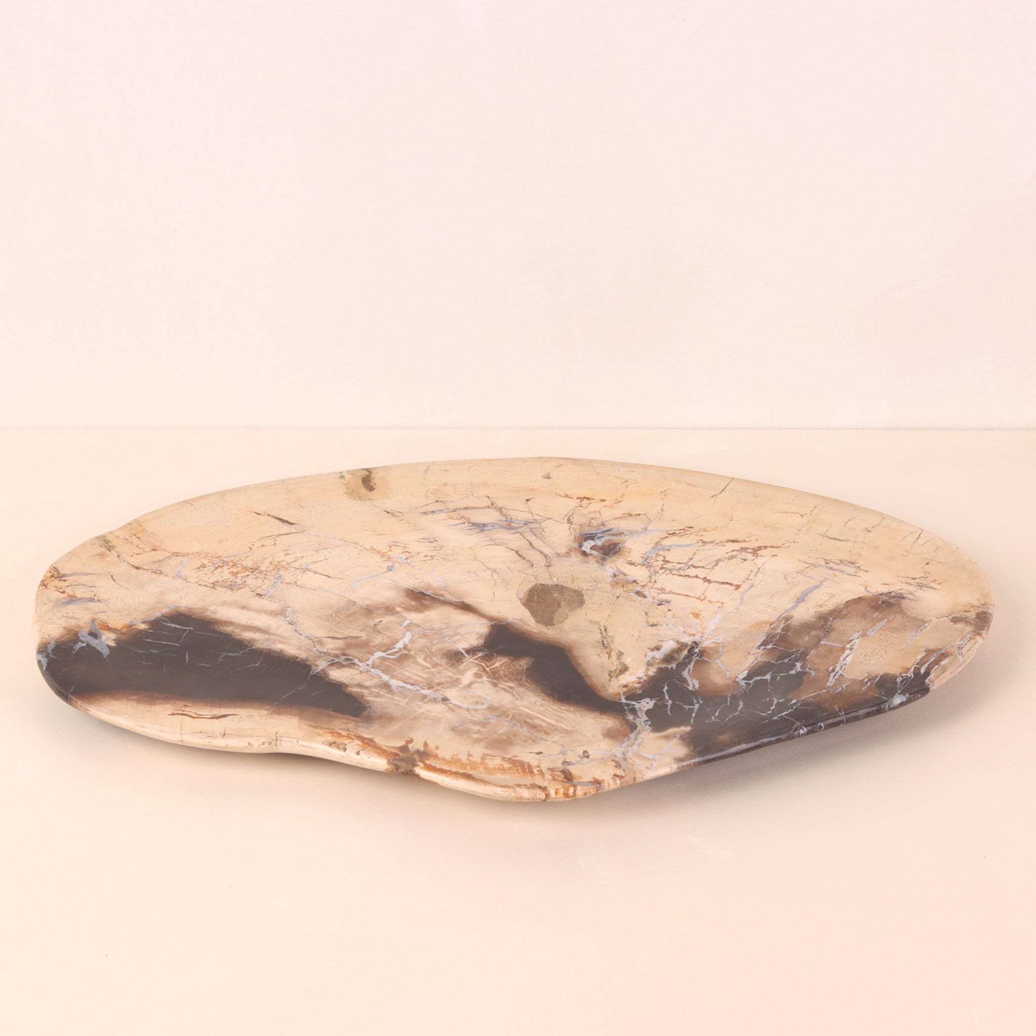 Vintage ＊ petrified wood tray
