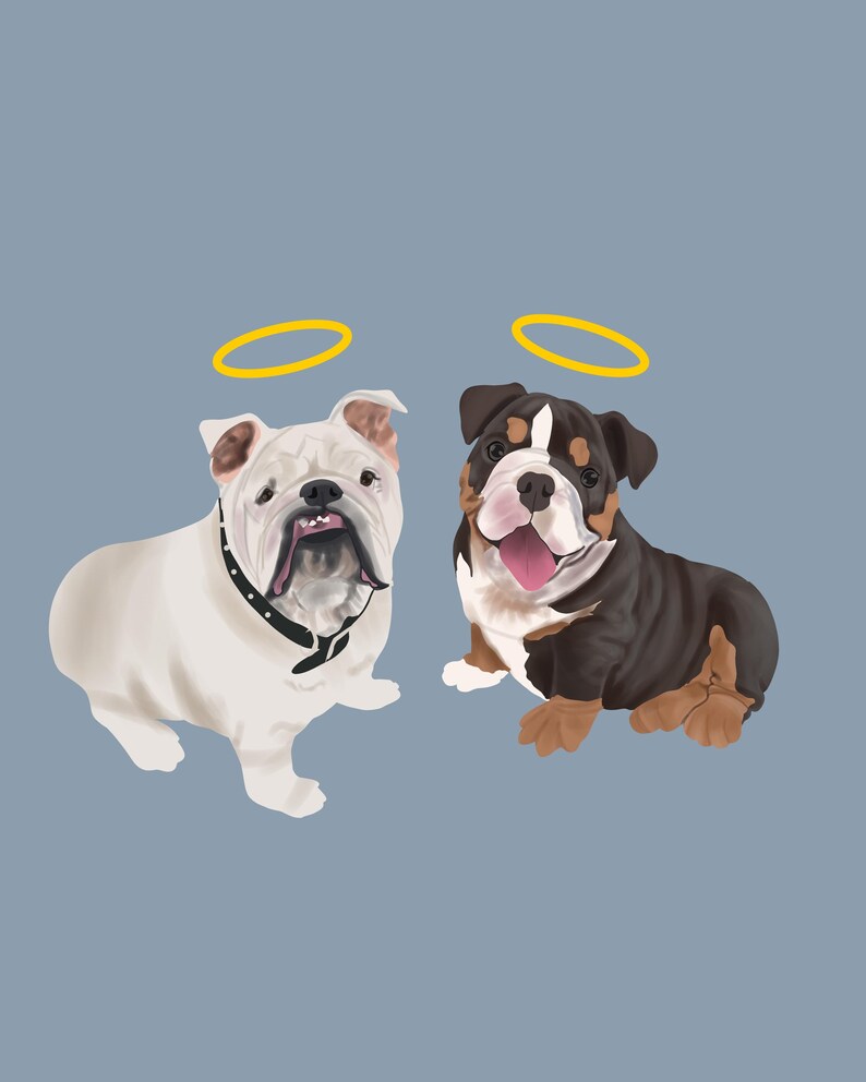 May include: Two white and brown English Bulldogs with halos above their heads. The dogs are sitting and looking at the viewer.