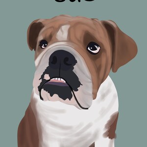 May include: A close-up portrait of a brown and white bulldog with the name "GUS" written above it.