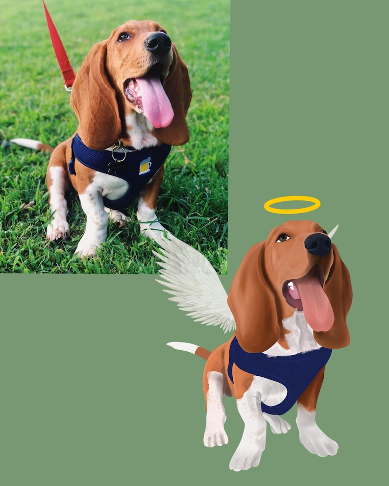 May include: A brown and white basset hound dog with a halo and wings. The dog is wearing a blue harness and has its tongue sticking out.