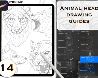 Animal Head Drawing Guide stempels, dierenborstel, wolf stempels, tijger stempels, beer stempels, procreate stempels, procreate borstels