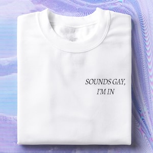 Sounds Gay I&#39;m In Tee, Pride T-Shirt, LGBTQ Unisex Shirt