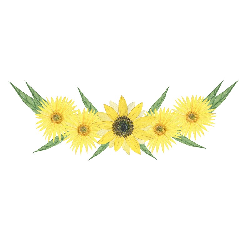 Free Free 264 Clipart Sunflowers Images SVG PNG EPS DXF File