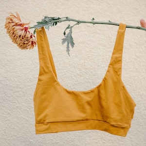 Yucca Bralette