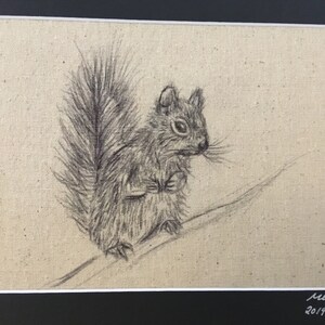 Squirrel ‘Woodland Animals’