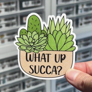 May include: A sticker with a green succulent plant in a pot. The pot has the text "What up succa?" on it.