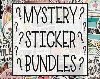 Mystery Sticker Pack, Inspirational Sticker Grab Bag, Motivational Blind Box, Mental Health Random Stickers, Sticker Grab Bag Gift