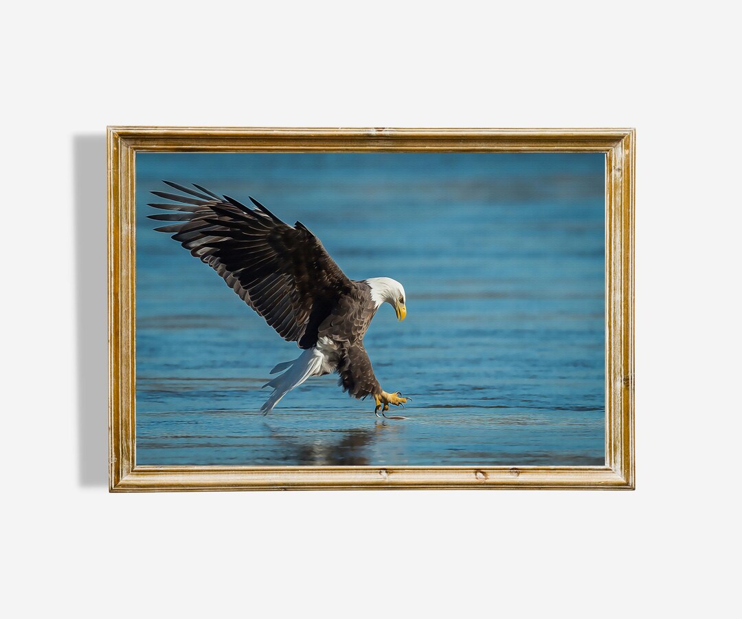 Autumn Bald Eagle Oil Painting Print – North American Wall Art (digital ...