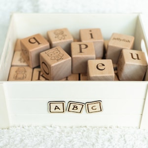 Wooden Alphabet Blocks, Animal and Letter Stacking Cubes, Gender Neutral Educational Toys, Word Learning Toys for Toddlers, Gift for Kids