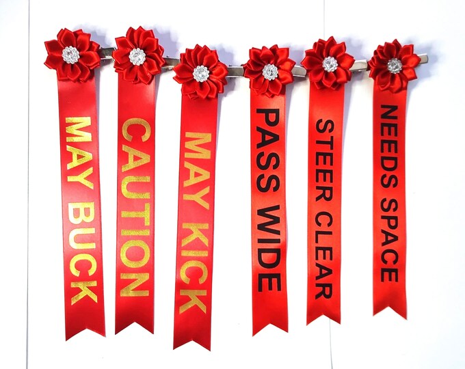 TAIL RIBBONS for Horses, Tail Warning,horse Tail Beads, Tail Ribbons