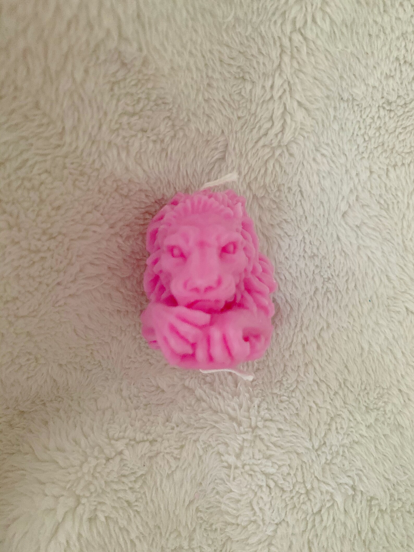 Personalised Lion Head Candles 100 Handmade Scented Candles Etsy