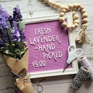 The Lavender Fields Premium Letterset for Felt Letter Boards 209 pc 1 Letters, Alternate Letters, Numbers and Symbols image 1