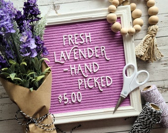 The "Lavender Fields" Premium Letterset for Felt Letter Boards | 209 pc - 1" Letters, Alternate Letters, Numbers and Symbols