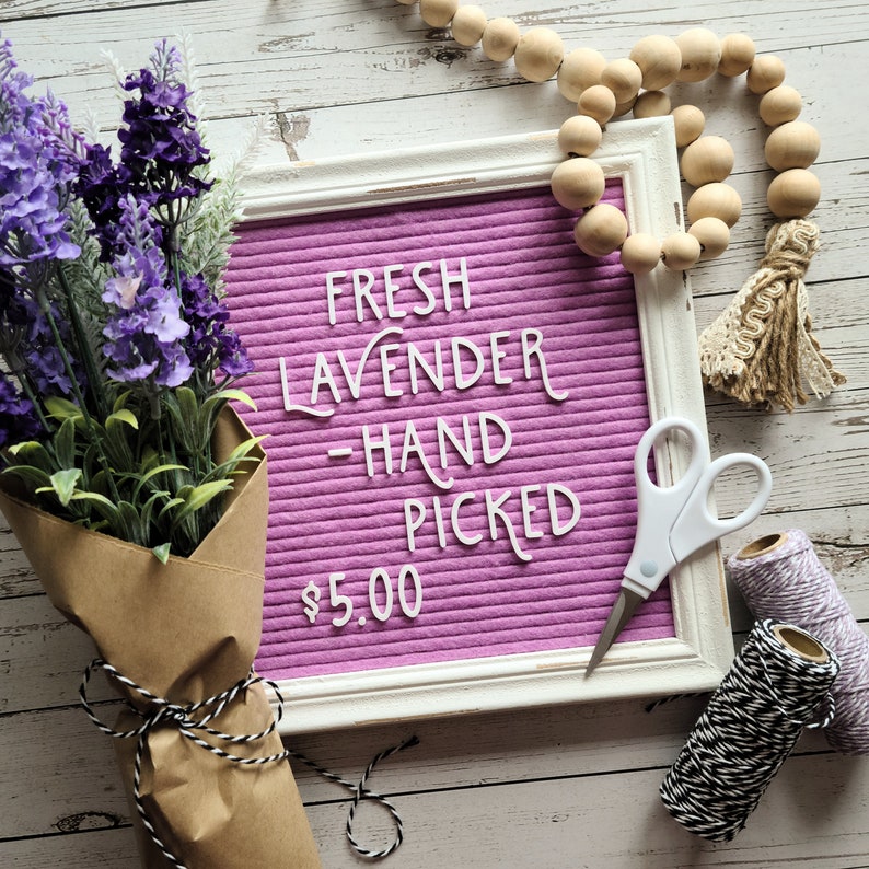 The Lavender Fields Premium Letterset for Felt Letter Boards 209 pc 1 Letters, Alternate Letters, Numbers and Symbols image 1