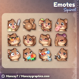 Cute Squirrel Twitch Emotes / Kawaii Squirrel emotes for your Twitch, Discord, Youtube / Squirrel - Instant download /