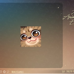 Animated Raccoon emote / Kawaii Raccoon animated twitch emote / Youtube emote / Cute Raccoon Animated Twitch emote
