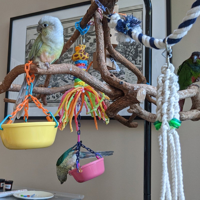 Bird Play Gym - Etsy
