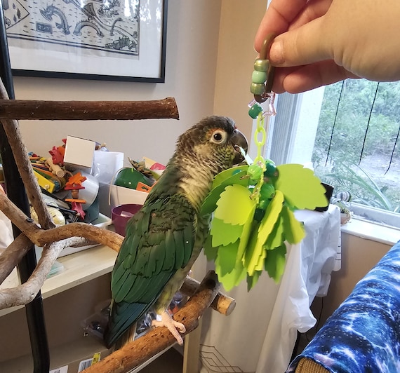 Leaves Paper Shredder, Hanging Bird Toy