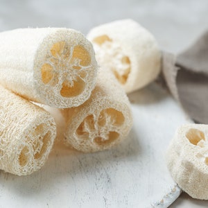 LARGE Natural Loofah - Eco Friendly. Plant based, Plastic Free, Reusable, Exfoliating, Scrubber, Biodegradable, eco, Shower Sponge, Loofa UK