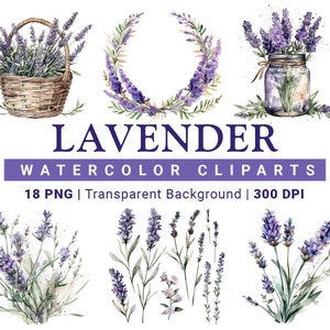 18 Watercolor Lavender Clipart, PNG, Print Ready, Watercolor flowers, Digital art, Beautiful Lavender Flowers, AI art