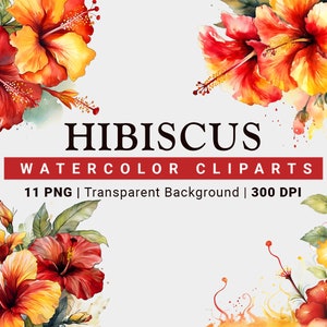 11 Watercolor Hibiscus Clipart, PNG, Print Ready, Watercolor flowers, Digital art, Beautiful Hibiscus Flowers, AI art