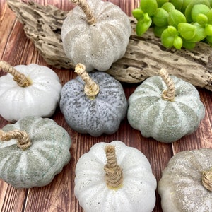 Concrete pumpkin // autumn decoration // many colors // Halloween