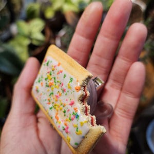 May include: A rectangular pastry-shaped accessory with a white frosted top and colorful sprinkles. The pastry has a golden-brown crust and a visible red fruit filling on the side where a bite-shaped indentation is present. A clear plastic mount is attached.