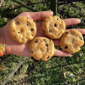 Clay Chocolate Chip Cookie Magnet - For Sticking Papers On Refrigerator, Locker & Office Memo Boards