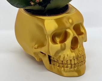 May include: A metallic gold-colored skull-shaped planter containing a small flowering plant with dark green, scalloped leaves and clusters of vibrant orange blossoms. The skull features realistic anatomical details including eye sockets, a nasal cavity, and teeth.
