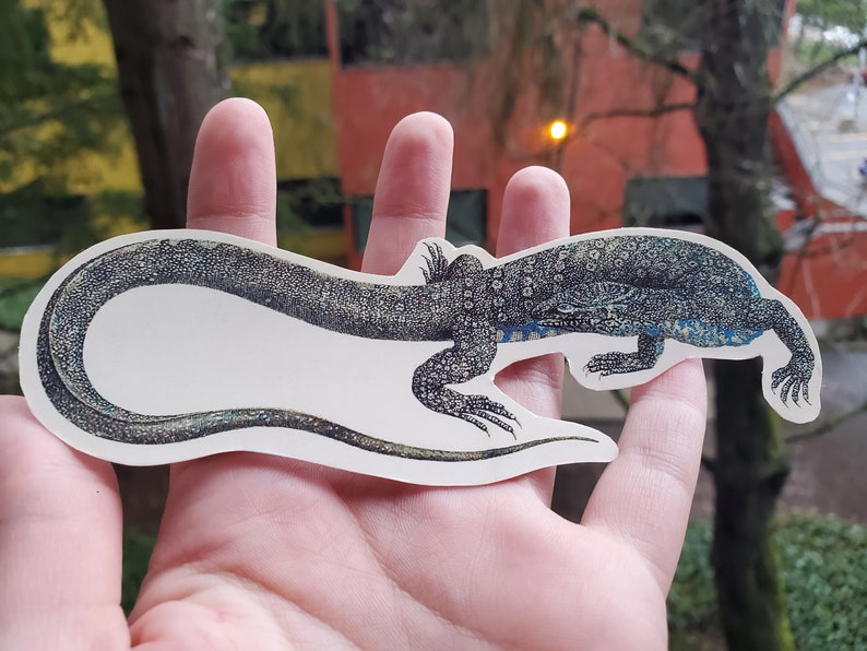 Reptile Sticker Pack Etsy