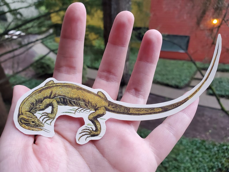 Reptile Sticker Pack Etsy