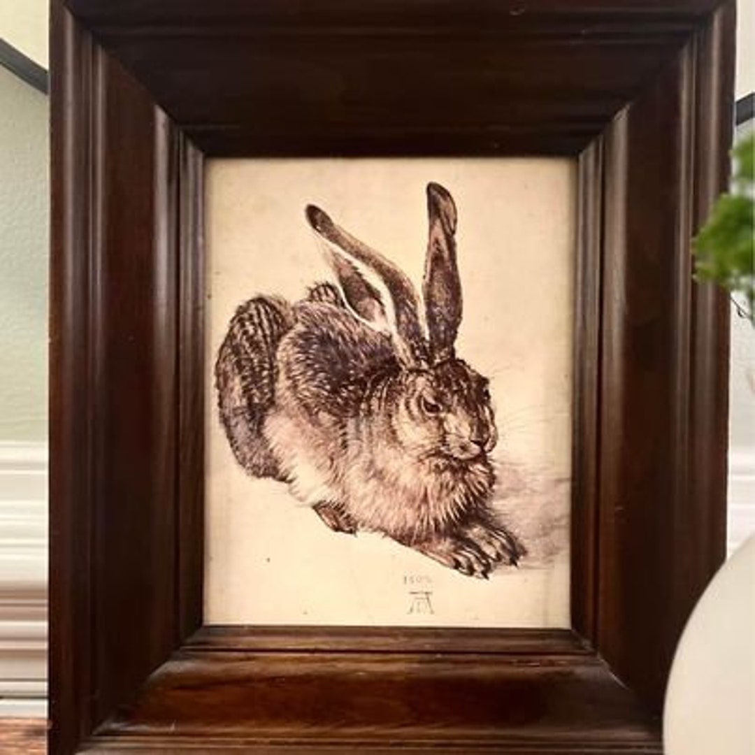 Wood Framed Rabbit Print by Albert Durer Etsy