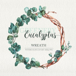 Eucalyptus watercolor clip art