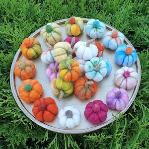 Colorful felted mini&midi pumpkins, mushrooms, apples, acorns, carrots, Halloween, autumn garland, Thanksgiving, pumpkin, seasonal table, autumn decoration,