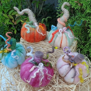 May include: Five felt pumpkins in various colours, including blue, pink, orange, and green. Each pumpkin has a unique, whimsical stem made of felt.